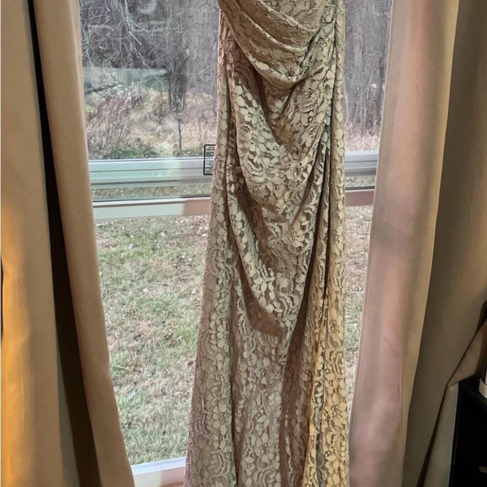 Elegant Lace Evening Gown